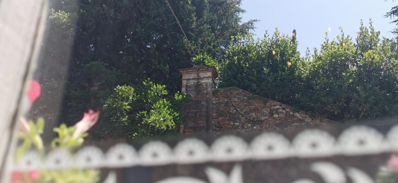 La Maison De Jardin Lucca Kültér fotó