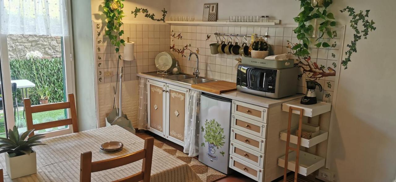 La Maison De Jardin Lucca Kültér fotó