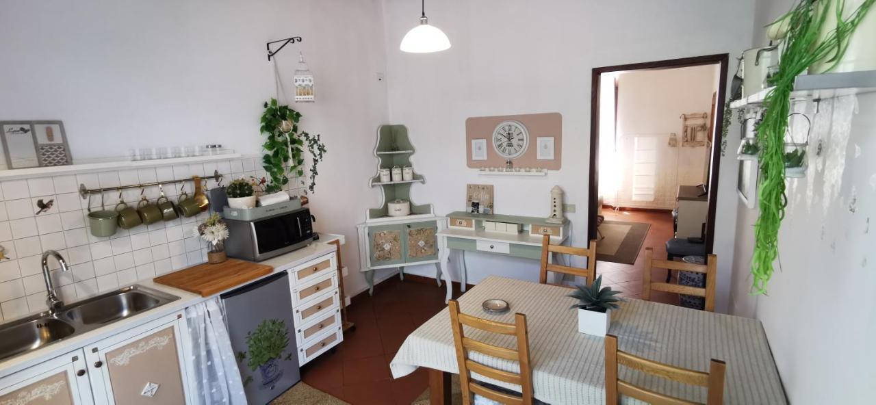 La Maison De Jardin Lucca Kültér fotó