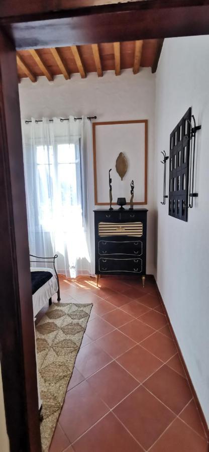 La Maison De Jardin Lucca Kültér fotó