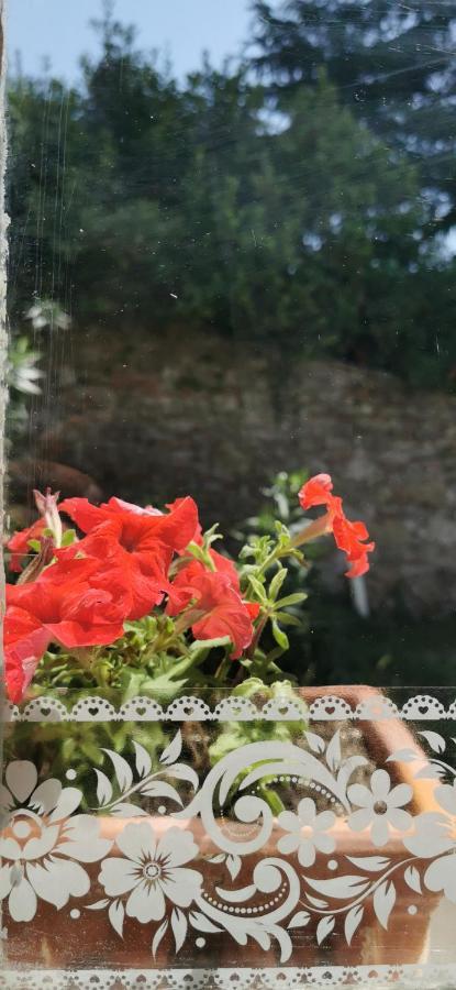 La Maison De Jardin Lucca Kültér fotó