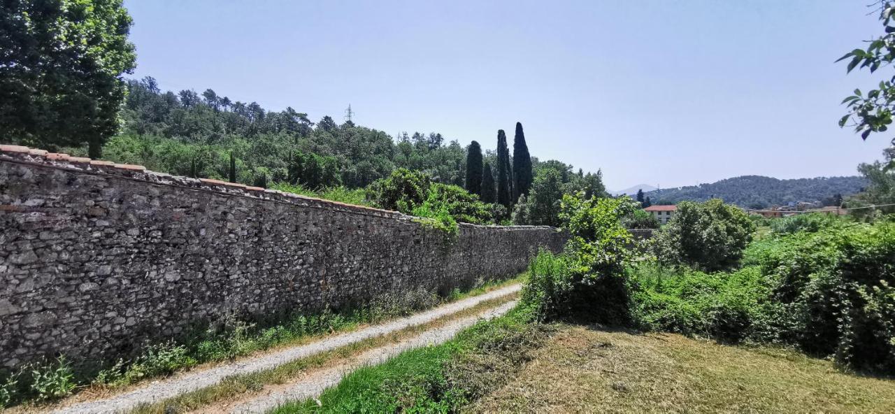 La Maison De Jardin Lucca Kültér fotó