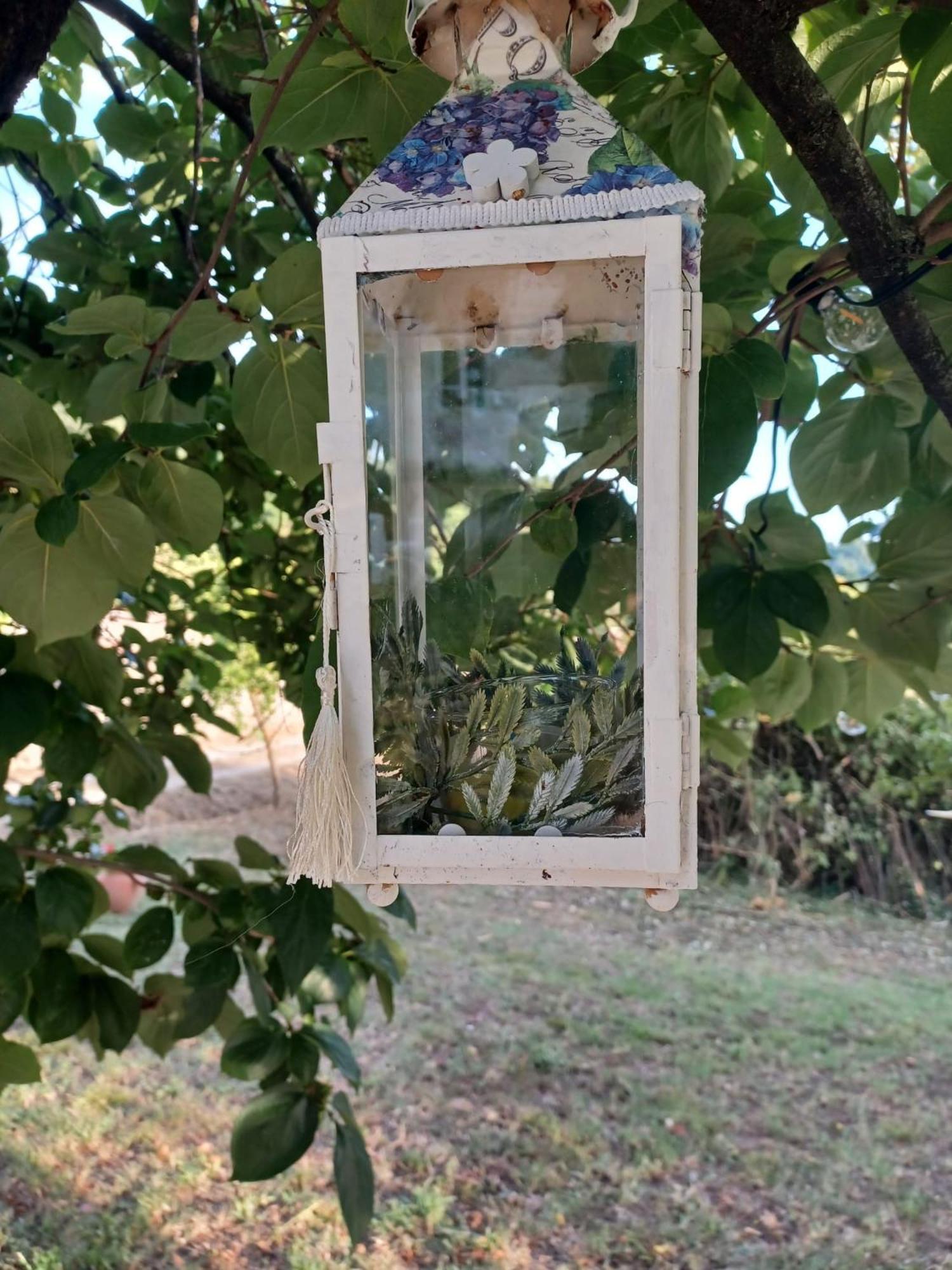La Maison De Jardin Lucca Kültér fotó